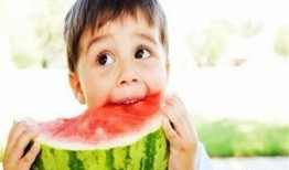 大饼哥吃大蓝瓜,大蓝瓜的诱惑之旅