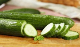 小瓜吃瓜记,揭秘瓜界风云，品味人生百态