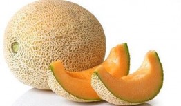 吃苹果和哈密瓜哪个好,营养与口感大比拼，哪个更胜一筹？”