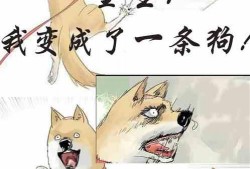 吃瓜话唠小说,揭秘娱乐圈那些不为人知的秘密