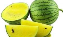 黄料吃瓜免费,免费畅享夏日清凉盛宴