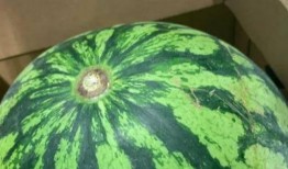 正一教吃瓜,揭秘神秘宗教中的吃瓜文化