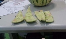 同事吃瓜图片,揭秘职场八卦风云