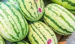 杀瓜中的吃瓜,揭秘网络舆论场的暗流涌动