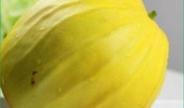 连皮一起吃的瓜,尽享瓜果美味新体验