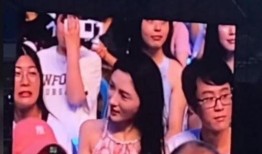 演唱会吃瓜视频,揭秘幕后花絮与精彩瞬间