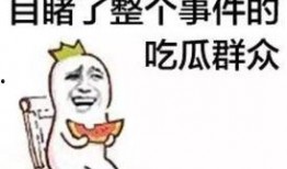 浅谈吃瓜,轻松解读社会热点