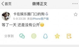 吃瓜在线爆料小说,揭秘小说背后的真实故事