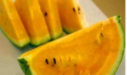 韩国吃黄色的瓜,黄色瓜果的独特风味之旅