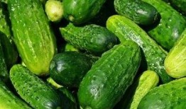 正一教吃瓜,揭秘神秘宗教中的吃瓜文化