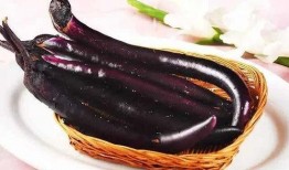 坐月吃茄瓜,茄瓜的营养与食用指南