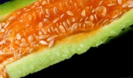 整个瓜还可以吃吗