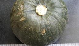 小瓜能不能烤着吃,美味烤瓜，尽享夏日风味