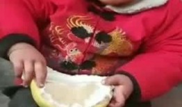 吃瓜淘小子,揭秘娱乐圈幕后故事