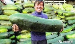 很会吃瓜的人,揭秘娱乐圈那些事儿