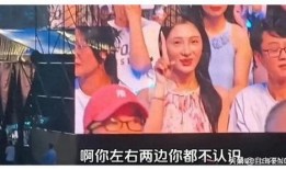 演唱会吃瓜视频,揭秘幕后花絮与精彩瞬间