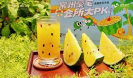 常州吃瓜直播,带你领略这座城市的美食风情