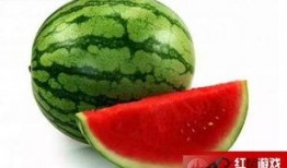 明天吃瓜什么时候吃最好,揭秘明天吃瓜的最佳时段