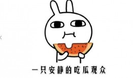 快手最新吃瓜事件,揭秘网红圈层背后的风云变幻