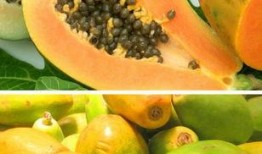 肺癌吃瓜好吗,吃瓜真的好吗？