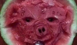 现在都有啥瓜不敢吃,当今社会，哪些“瓜”我们不敢吃？