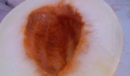 早起吃伊丽莎白瓜,伊丽莎白瓜唤醒味蕾新体验