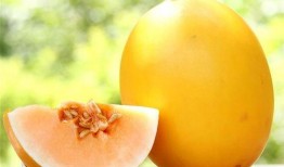 吃蜜瓜营养,夏日消暑佳品，健康生活必备