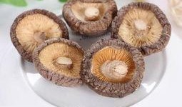 香菇方瓜能同时吃吗