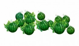 阿许吃瓜,揭秘娱乐圈的甜蜜与苦涩