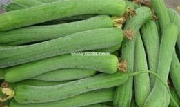 痔疮人可不可以吃哈密瓜,痔疮患者饮食宜忌解析