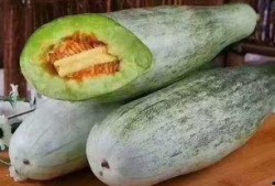 吃蜜瓜包了吗,吃蜜瓜包了吗？揭秘甜蜜诱惑背后的故事