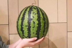 杀瓜中的吃瓜,揭秘网络舆论场的暗流涌动