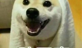 室友吃瓜搞笑,笑料连连揭秘校园生活点滴