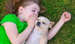 小孩吃瓜狗吃虫视频大全,小孩吃瓜狗吃虫，欢乐视频大盘点