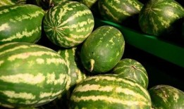 曲阳吃瓜事件,一场网络舆论的风暴与反思