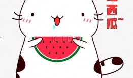 动漫猫吃瓜头像,动漫猫吃瓜头像背后的趣味故事