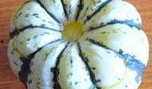 面瓜婴儿怎么吃,面瓜婴儿辅食制作与食用指南