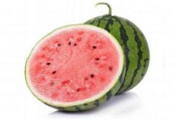 西瓜麒麟瓜怎么吃,西瓜与麒麟瓜的多样食法探索