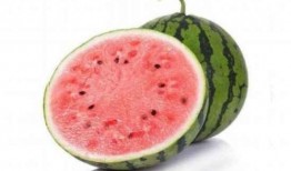 西瓜麒麟瓜怎么吃,西瓜与麒麟瓜的多样食法探索