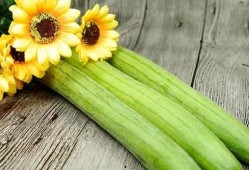 立秋吃瓜好处,养生保健好时节