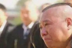 丰顺吃瓜事件始末,一场网络舆论的风波与反思