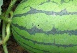 医院里的吃瓜趣事