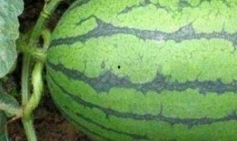 医院里的吃瓜趣事