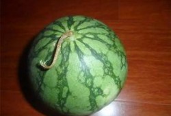 摔瓜吃老瓜,传承与创新的故事