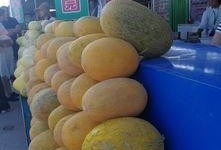 在甜水井还是瓜州吃瓜
