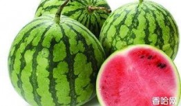 例假可以吃伊丽莎白瓜吗,“经期女性适宜食用伊丽莎白瓜吗？”