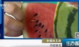 不吐籽吃瓜,尽享夏日清凉美味