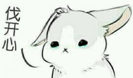 兔子吃瓜鄙视表情包,笑谈人间百态