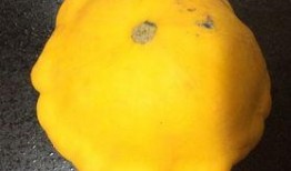 飞碟瓜怎样吃,探索美味新境界