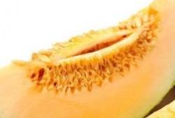 吃瓜大白9,一场关于瓜农生活的深度对话